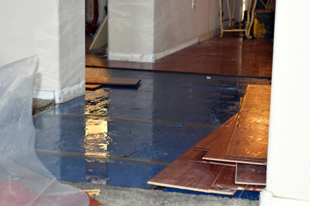 Professional Flood Cleanup technician working in Holland, TX